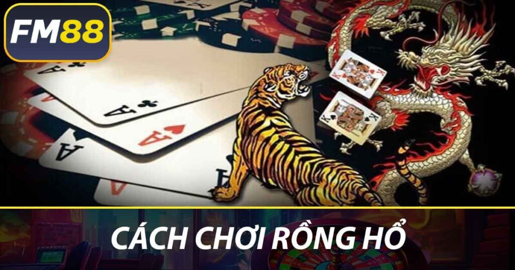 Cách chơi rồng hổ