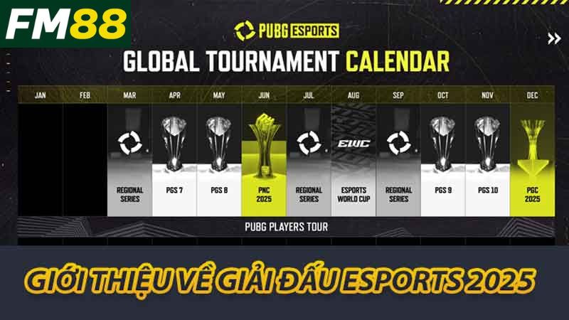 Tìm Hiểu Giải Đấu Esports 2025 Tại FM88 Những Điều Cần Biết 2 Giới thiệu về giải đấu Esports 2025
